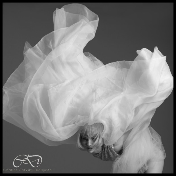 CharlesDieujusteWeb2a CharlesDieujusteWeb2a