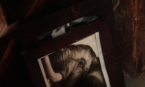 LePinkScenes_MichaelCreagh1