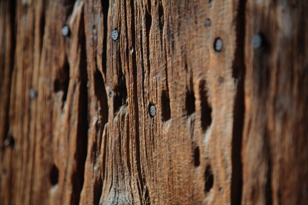 LePinkScenes_MichaelCreagh3