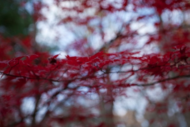 LePinkScenes_MichaelCreagh8